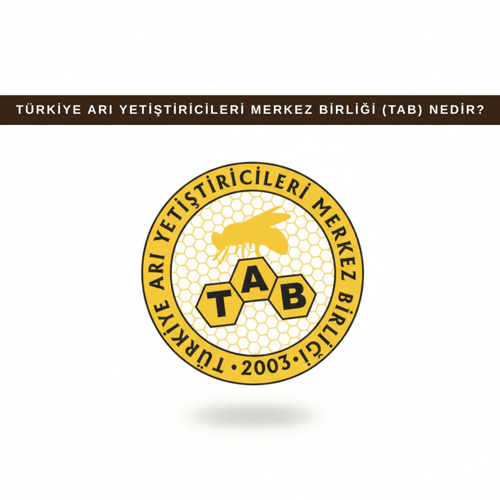 Türkiye Arı Yetiştiricileri Merkez Birliği (TAB) nedir sorusunu açıklayan bilgilendirici görsel