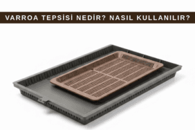 Plastik Tabanlarda varroa döküm tepsisinde biriken varroa akarları