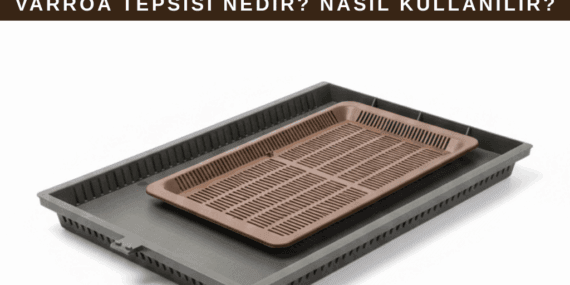 Varroa Döküm Tepsisi Nedir? Nasıl Kullanılır?
