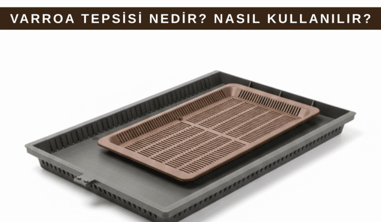 Varroa Döküm Tepsisi Nedir? Nasıl Kullanılır?