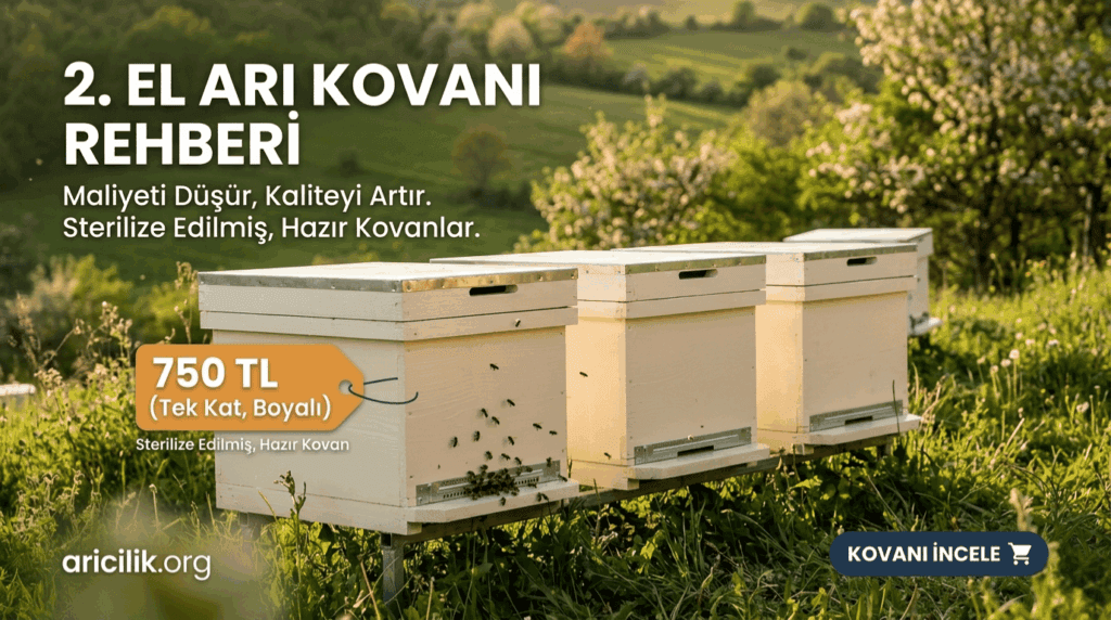 Yenilenmiş ve boyanmış 2. el arı kovanı modelleri ve fiyatları.