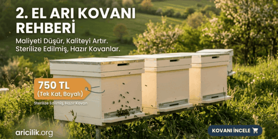2. El Arı Kovanı