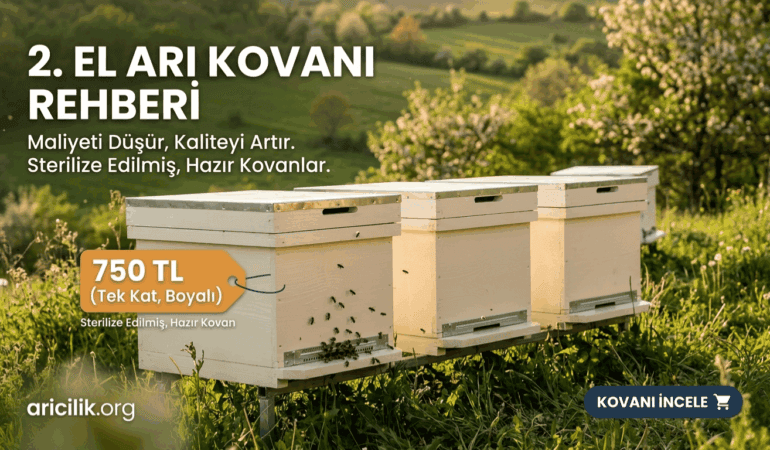 2. El Arı Kovanı