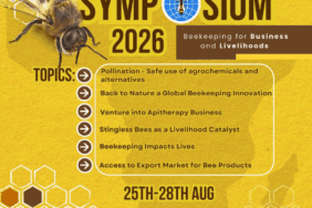 4. Afrika Apimondia Sempozyumu 2026, 25–28 Ağustos’ta Uganda’da arıcılık ve geçim kaynaklarını güçlendirmeyi amaçlıyor.