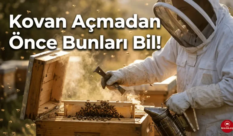 Arıcılıkta Dikkat Edilmesi Gerekenler: 15 Kritik Kural
