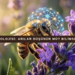 Erkek Arı Nedir? Ne İşe Yarar? Görevi Nedir? thumbnail