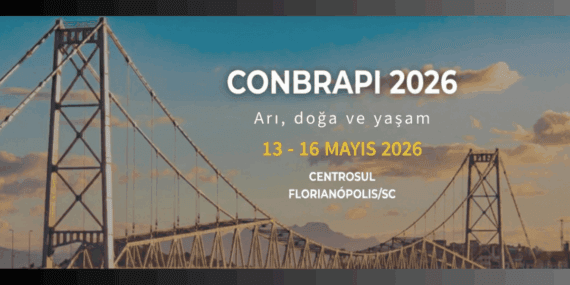 CONBRAPI 2026: Brezilya Arıcılık Kongresi Florianópolis’te