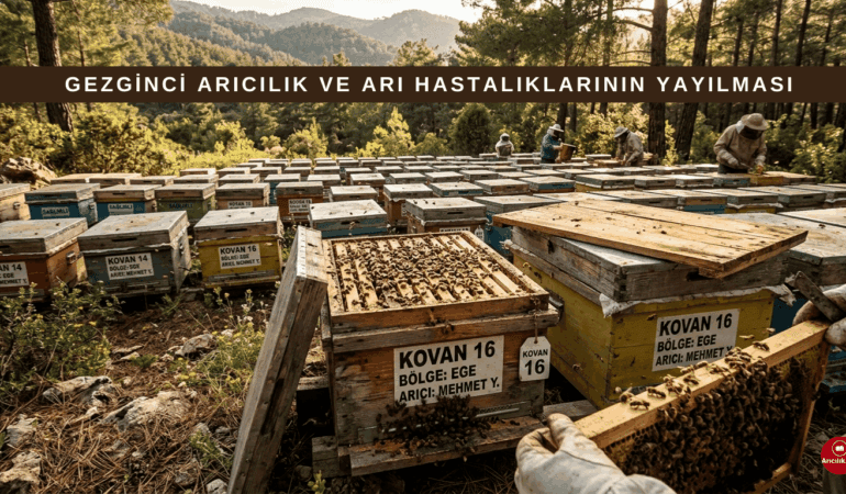 Gezginci Arıcılık ve Arı Hastalıklarının Yayılması: Riskler ve Çözüm Önerileri