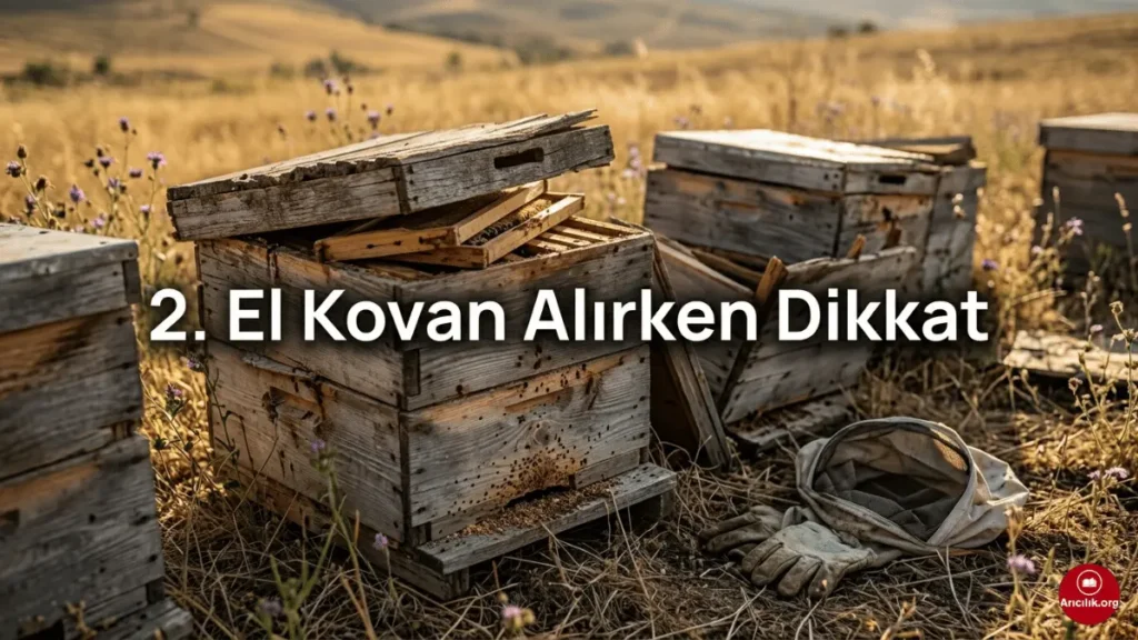 İkinci el arı kovanı alırken dikkat edilmesi gerekenler, çürümüş ve tahta kurusu olan eski arı kovanları