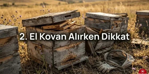 2026’da İkinci El Arı Kovanı Alırken Dikkat Edilmesi Gerekenler