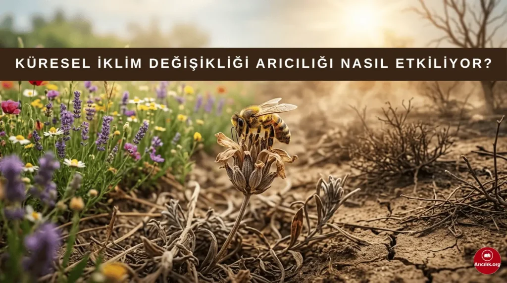 küresel iklim değişikliğinin arılar ve arıcılık üzerindeki etkilerini gösteren görsel
