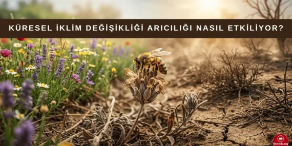 Küresel İklim Değişikliğinin Arıcılık Üzerindeki Etkileri