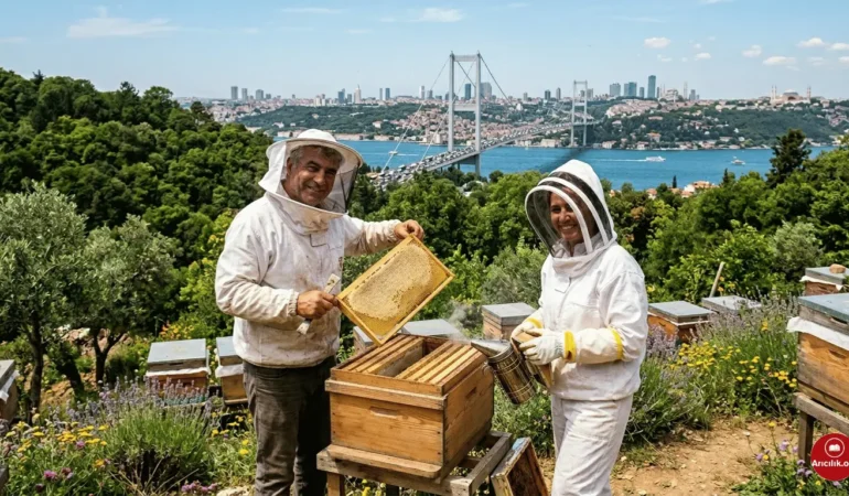 İstanbul’da Arıcılık Yapılır mı? (2026 Güncel Şartlar)