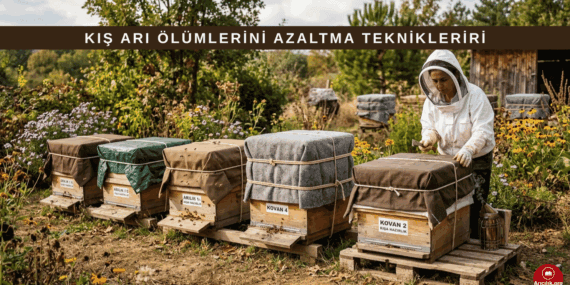 Kışın Arı Ölümlerini En Aza İndiren Tavsiyeler