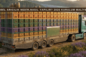 Mobil arıcılıkta kullanılan karavan tipi araç ve kovan yerleşimi görseli.