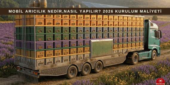 Mobil Arıcılık Nedir? Nasıl Yapılır? (2026): Karavan Tipi Sistemler, Maliyetler Nelerdir?