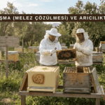 Ana Arı Sağlığı Neden Bu Kadar Önemli? thumbnail