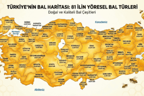 Türkiye Bal Haritası: İllere Göre Bal Çeşitleri İnfografiği