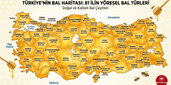 2026 Türkiye Arıcılık Haritası: Bölgesel Bal Türleri ve Verim Analizi