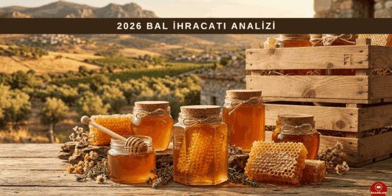 Türkiye’de Bal Üretimi ve İhracatı: 2026 Sektör Analizi