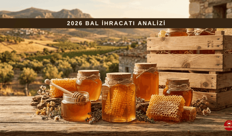 Türkiye’de Bal Üretimi ve İhracatı: 2026 Sektör Analizi