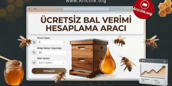 Ücretsiz Arıcılıkta Bal Verimi Hesaplama Aracı