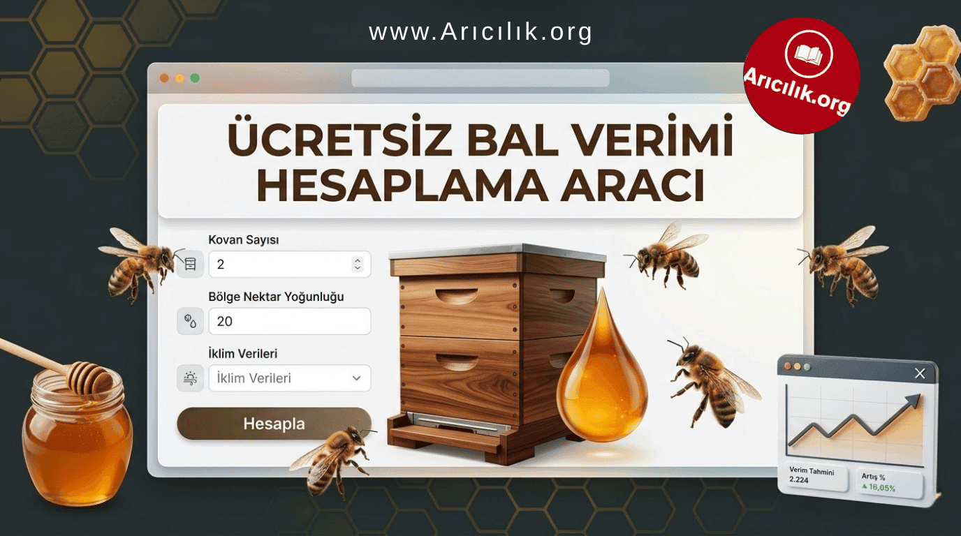 Sezonluk Bal Veriminizi Saniyeler İçinde Öngörün