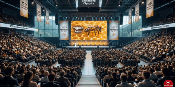 Yığılca Arısı, 2027 Arıcılık Olimpiyatları ile Dünya Sahnesinde