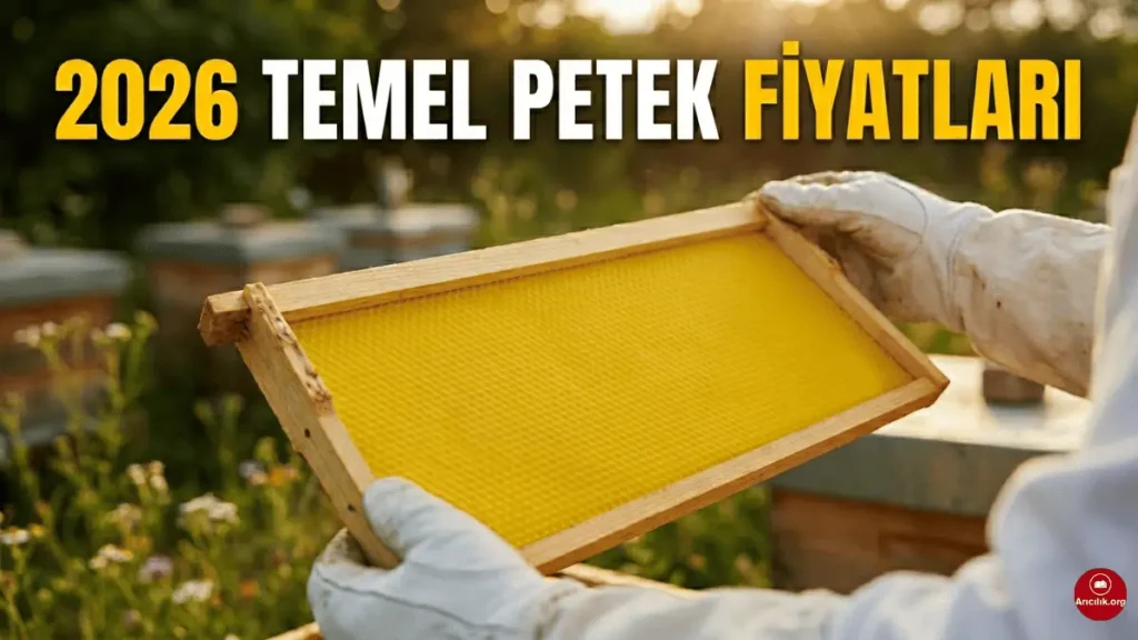 2026 temel petek fiyatları ve dalak fiyatları