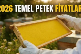 2026 temel petek fiyatları ve dalak fiyatları