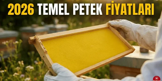 2026 Arı Peteği Fiyatları: Güncel Dalak, Temel Petek ve Mum İşçiligi Ücretleri
