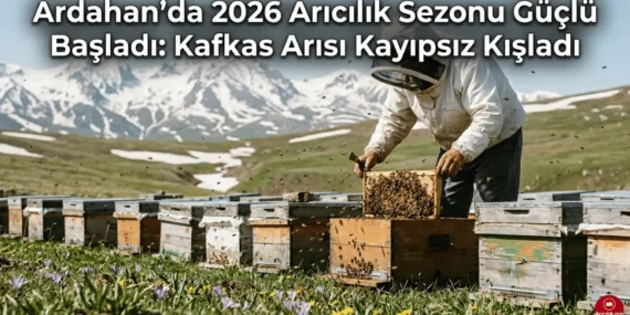 Ardahan’da 2026 Arıcılık Sezonu Güçlü Başladı: Kafkas Arısı Kayıpsız Kışladı