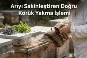 arı körüğünde ne yakılmalı doğal malzemelerle arı sakinleştirme yöntemi