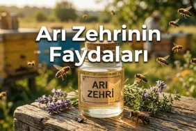 Arı zehri faydaları kavanoz içinde arılıkta doğal apitoksin görüntüsü