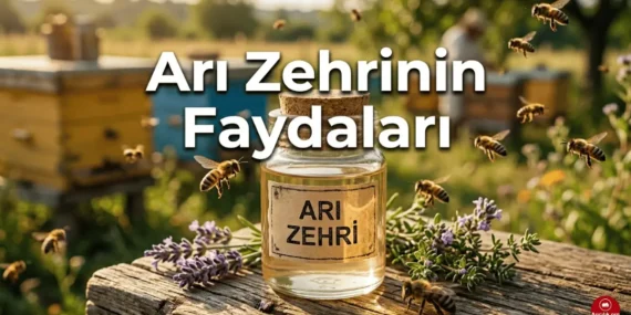 Arı Zehrinin Faydaları Nelerdir? Doğal Şifa Kaynağı Apitoksin