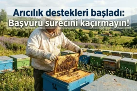 Arıcılık destekleri başladı kırsal kalkınma programı