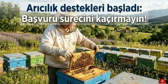 Arıcılık Destekleri Açıklandı: Üretici İçin Kritik Fırsat Resmen Yürürlükte