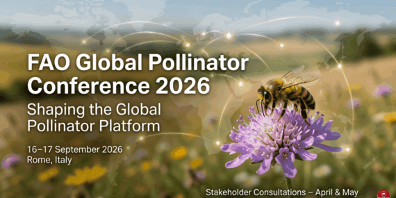FAO Küresel Tozlayıcı Konferansı 2026: Global Pollinator Platformu İçin Kritik Süreç