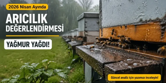 İstanbul’da Yağışlı Hava ve Arıcılık Üzerine Güncel Değerlendirme (22–26 Nisan)