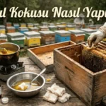Oğul Yönetimi – Koloni Dengesini Korumanın Temel Yöntemleri thumbnail