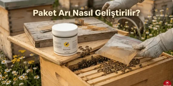 Paket Arı Nasıl Hızlı Geliştirilir? 8 Çıtalık Koloniyi Hızla Büyüten Sistem
