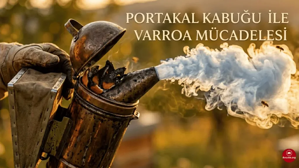 Portakal kabuğu ile varroa mücadelesi duman uygulaması