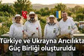 Türkiye ve Ukrayna Arıcılıkta Güç Birliği: Sektörü Değiştirecek Kritik Adım Türkiye Ukrayna arıcılık iş birliği ve ortak hamle