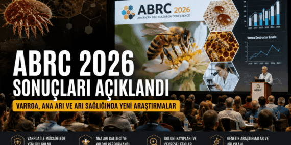 Amerikan Arı Araştırmaları Konferansı 2026 Sonuçları Yayımlandı