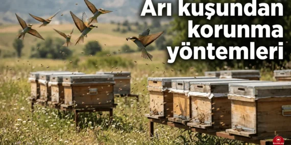 Arı Kuşundan Korunmak İçin Etkili Yöntemler