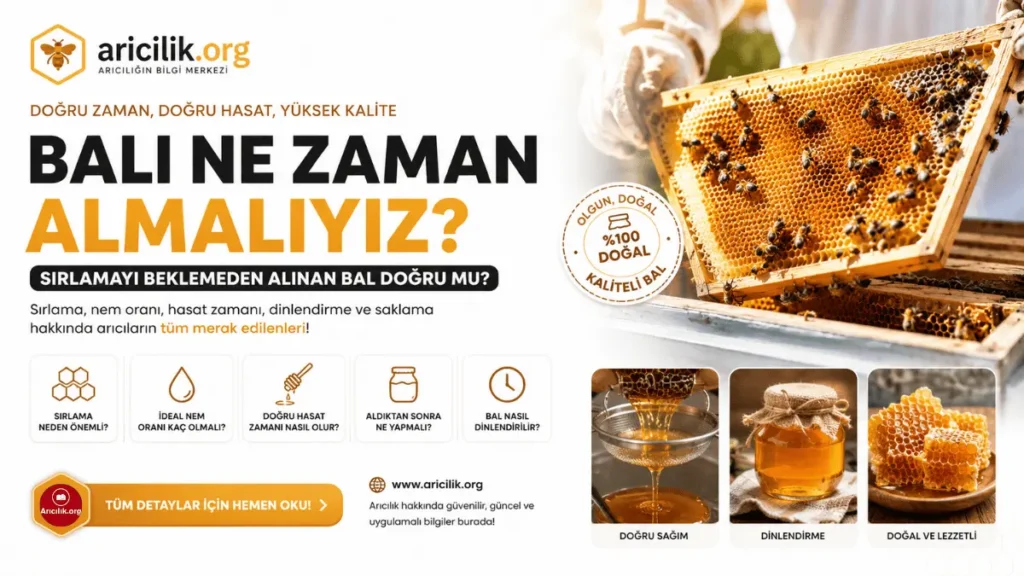 sırlanmış bal peteği hasat zamanı