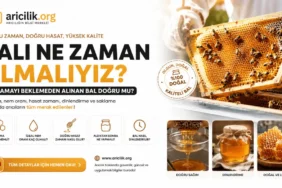 sırlanmış bal peteği hasat zamanı