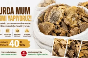 Posa mum ve hurda petek parçalarının çuvallarda toplandığı balmumu geri dönüşümü görüntüsü