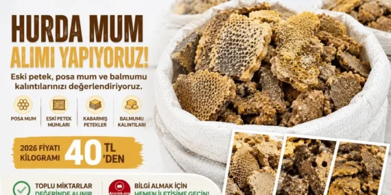Hurda Mum Fiyatları 2026: Posa Mum ve Eski Petek Değeri