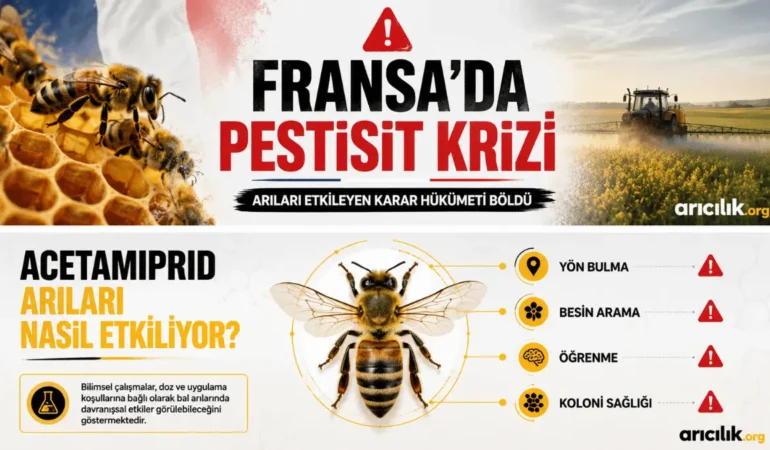 Fransa’da Arılar İçin Pestisit Krizi: Çevre Bakanı İstifa Etmek İstedi
